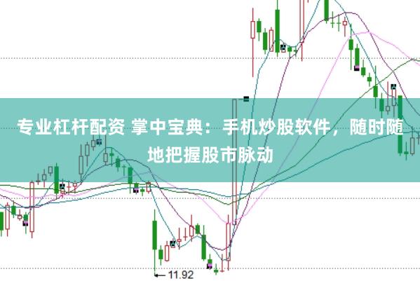 专业杠杆配资 掌中宝典：手机炒股软件，随时随地把握股市脉动