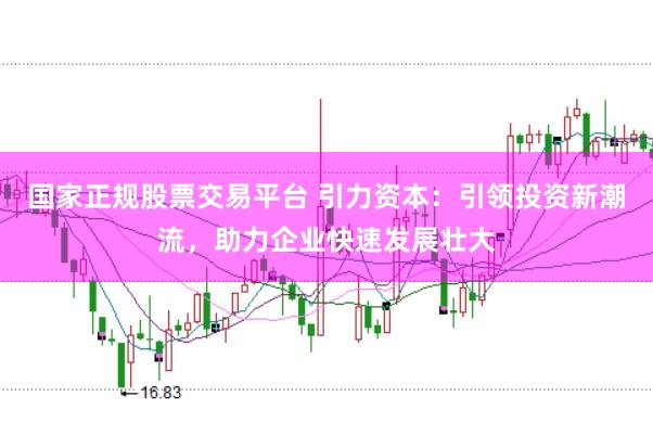 国家正规股票交易平台 引力资本：引领投资新潮流，助力企业快速发展壮大