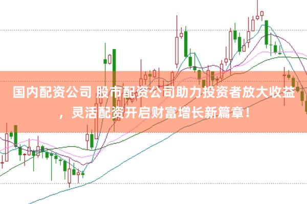 国内配资公司 股市配资公司助力投资者放大收益，灵活配资开启财富增长新篇章！