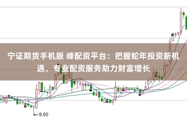 宁证期货手机版 峰配资平台：把握蛇年投资新机遇，专业配资服务助力财富增长
