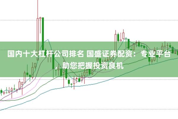 国内十大杠杆公司排名 国盛证券配资：专业平台，助您把握投资良机