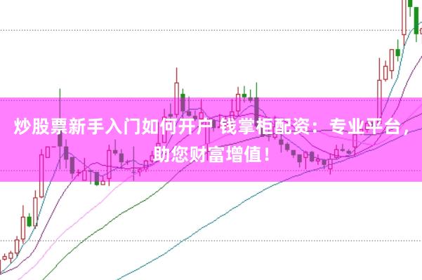 炒股票新手入门如何开户 钱掌柜配资：专业平台，助您财富增值！