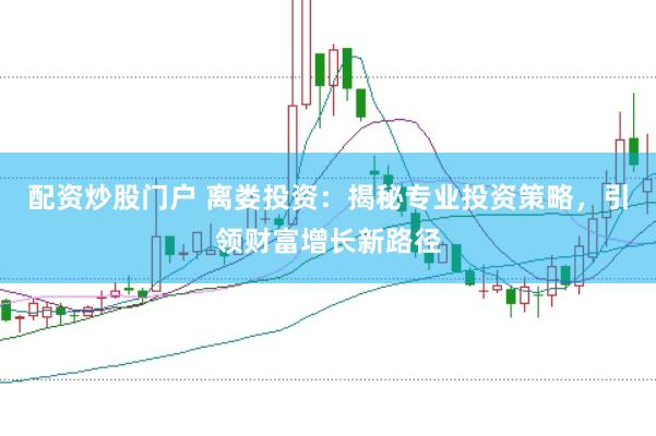 配资炒股门户 离娄投资：揭秘专业投资策略，引领财富增长新路径
