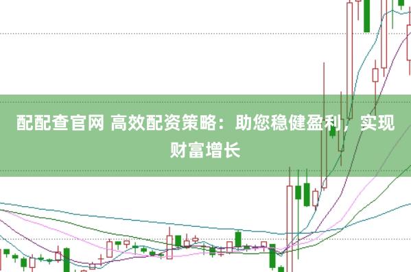 配配查官网 高效配资策略：助您稳健盈利，实现财富增长