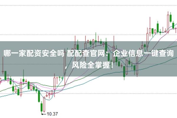 哪一家配资安全吗 配配查官网：企业信息一键查询，风险全掌握！