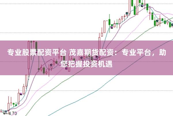 专业股票配资平台 茂嘉期货配资：专业平台，助您把握投资机遇