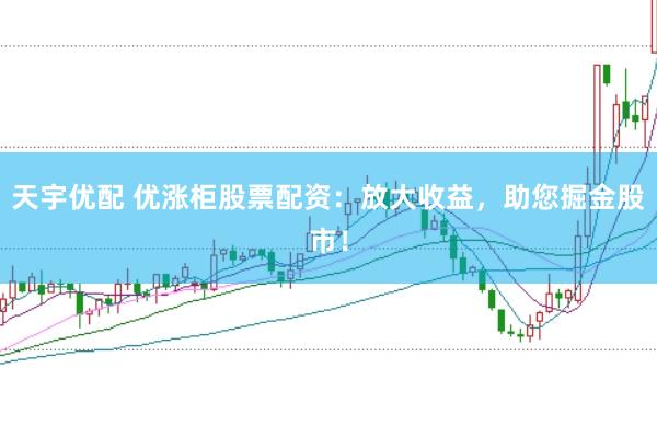 天宇优配 优涨柜股票配资：放大收益，助您掘金股市！